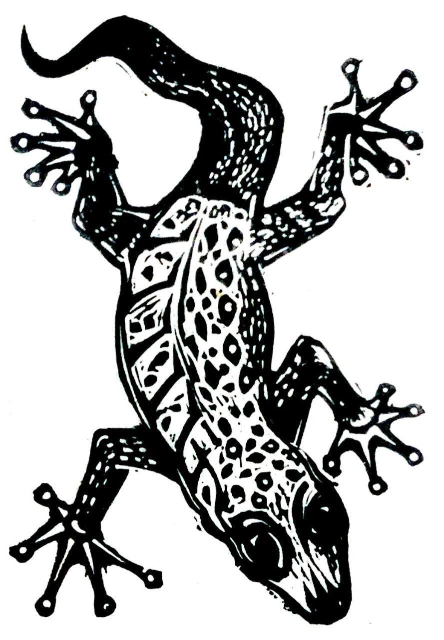 Gecko Guest House Cooktown Zewnętrze zdjęcie